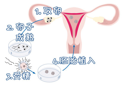 承济医学中心环境